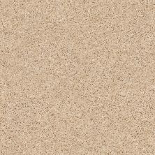 Shaw Floors Multifamily Eclipse Plus Enduring Solid Desert Sand 00210_PZ004