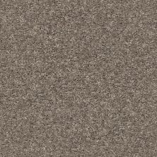 Shaw Floors Multifamily Eclipse Plus Enduring Solid Mountain Top 00511_PZ004