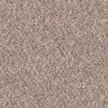 Shaw Floors Property Solutions Specified Presidio Tweed Summer Wind 00251_PZ027