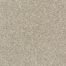Shaw Floors Property Solutions Specified Spellbound Quiet Tan 00112_PZ040