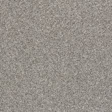 Shaw Floors Property Solutions Specified Spellbound Flannel Gray 00713_PZ040