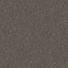Shaw Floors Style 50 Plus (s) Warm Grey 00501_PZ101