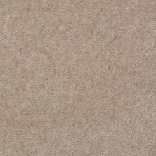 Shaw Floors Queen Patcraft Yukon Linen Cloth 27740_Q0028