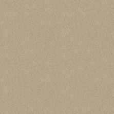 Shaw Floors Queen Knockout II 12′ Oyster Pearl 75101_Q0775