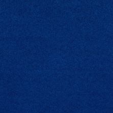 Shaw Floors Queen Knockout II 12′ Electric Blue 75453_Q0775