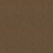 Shaw Floors Queen Knockout II 12′ Sequoia 75720_Q0775
