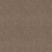 Shaw Floors Queen Knockout II 12′ Mountain Path 75792_Q0775