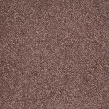 Shaw Floors Shaw Flooring Gallery Truly Modern III 12′ Warm Oak 00709_Q267G