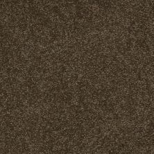 Shaw Floors Shaw Flooring Gallery Truly Modern III 15′ Tropic Vine 00304_Q268G