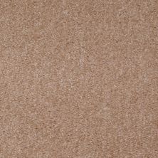 Shaw Floors SFA Banning Stucco 00751_Q3899