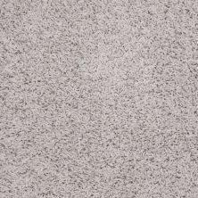 Shaw Floors Flourish Crystal Gray 00500_Q4206