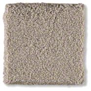 Shaw Floors Sandy Hollow I 12′ Mountain Mist Q4273_00103