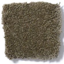 Shaw Floors Sandy Hollow I 12′ Green Tea Q4273_00302