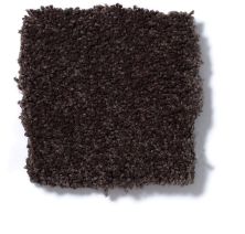 Shaw Floors Queen Sandy Hollow I 15′ Tundra Q4274_00708