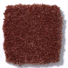 Shaw Floors Queen Sandy Hollow II 12′ Spanish Tile Q4275_00601