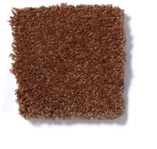 Shaw Floors Queen Sandy Hollow II 12′ Dark Amber Q4275_00602