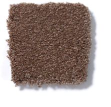 Shaw Floors Sandy Hollow II 15′ Tuscany Q4276_00204
