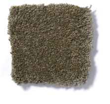 Shaw Floors Sandy Hollow II 15′ Green Tea Q4276_00302