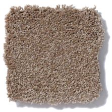 Shaw Floors Sandy Hollow III 12′ Mojave Q4277_00301