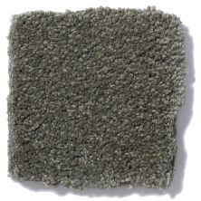 Shaw Floors Sandy Hollow III 12′ Alpine Fern Q4277_00305