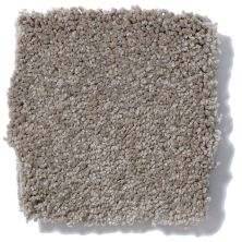 Shaw Floors Sandy Hollow III 12′ Chinchilla Q4277_00306
