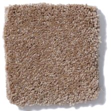 Shaw Floors Sandy Hollow III 12′ Muffin Q4277_00700