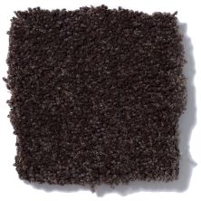 Shaw Floors Sandy Hollow III 12′ Tundra Q4277_00708