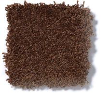 Shaw Floors Sandy Hollow III 15′ Tortoise Shell Q4278_00707