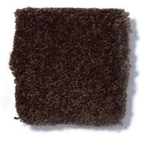 Shaw Floors Sandy Hollow III 15′ Coffee Bean Q4278_00711