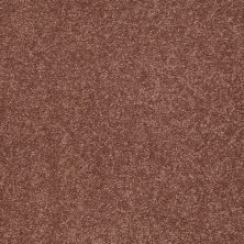 Shaw Floors SFA Timeless Appeal I 12′ English Toffee 00706_Q4310