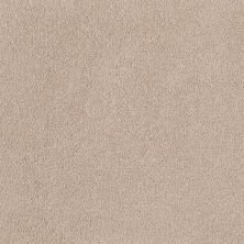 Shaw Floors Anso Premier Dealer Great Effect I 12′ Pudding 00102_Q4327