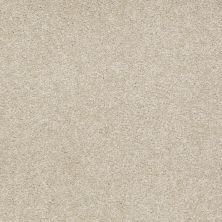 Shaw Floors Anso Premier Dealer Great Effect I 12′ Country Haze 00307_Q4327