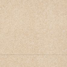 Shaw Floors Anso Premier Dealer Great Effect III 15′ Marzipan 00201_Q4332