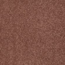 Shaw Floors Anso Premier Dealer Great Effect III 15′ English Toffee 00706_Q4332