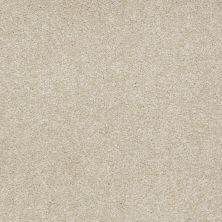 Shaw Floors Shaw Floor Studio Bright Spirit II 15′ Country Haze 00307_Q4651