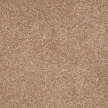 Shaw Floors Shaw Floor Studio Bright Spirit II 15′ Muffin 00700_Q4651