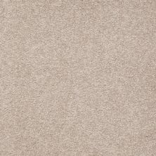 Shaw Floors Shaw Floor Studio Bright Spirit III 12′ Soft Shadow 00105_Q4652