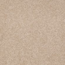 Shaw Floors Shaw Floor Studio Bright Spirit III 12′ Adobe 00108_Q4652