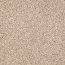 Shaw Floors Shaw Floor Studio Bright Spirit III 15′ Adobe 00108_Q4653