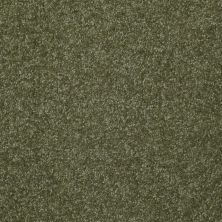 Shaw Floors Queen Harborfields I 12′ Sage Leaf 00302_Q4718