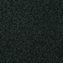 Shaw Floors Queen Harborfields I 12′ Emerald 00308_Q4718