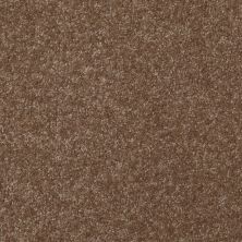 Shaw Floors Queen Harborfields I 12′ Jute 00703_Q4718