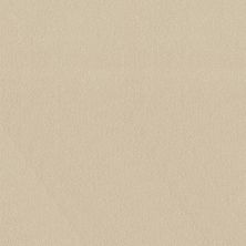 Shaw Floors Sophistication 12' Mushroom