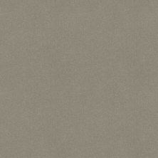 Shaw Floors Sophistication 12' Silver Charm