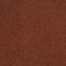 Shaw Floors Sophistication 12' Spanish Tile