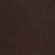 Shaw Floors Sophistication 12' Tundra