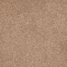 Shaw Floors Shaw Design Center Sweet Valley III 12′ Muffin 00700_QC424
