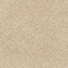 Shaw Floors Qualco Homes Qh Platinum Twist Chenille Soft