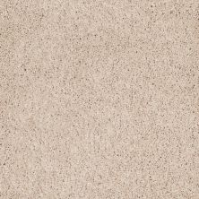 Shaw Floors Qualco Homes Qh Platinum Twist Dunes