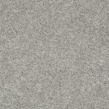 Shaw Floors Qualco Homes Qh Platinum Twist Elephant Gray